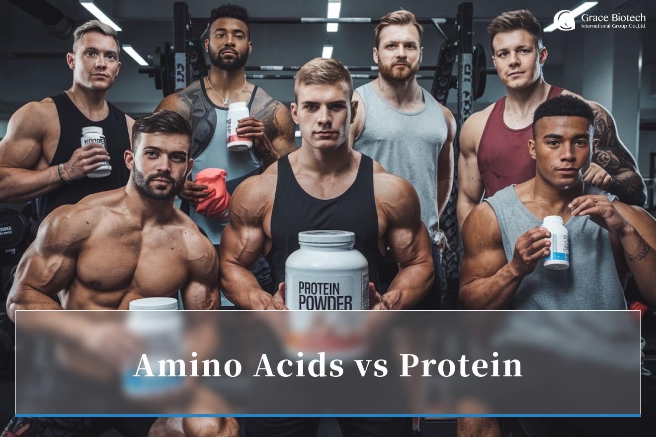 Amino Acids vs Whole Protein: What are the Differences?